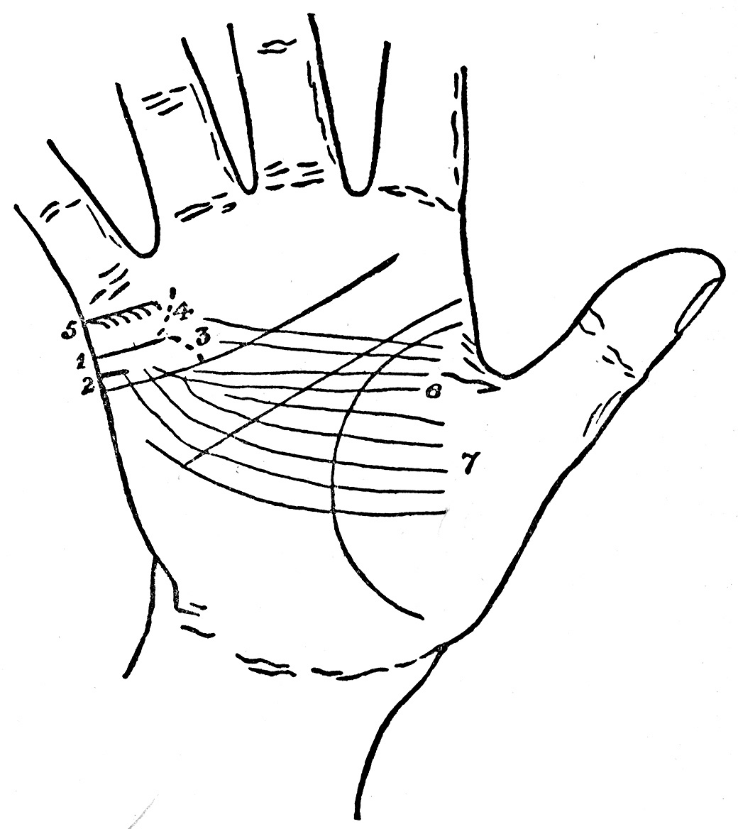 Hand Lines in Palmistry, Reading Major and Minor Lines on Your Palm